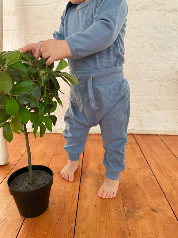 Штанишки Рибби Серо-голубой 