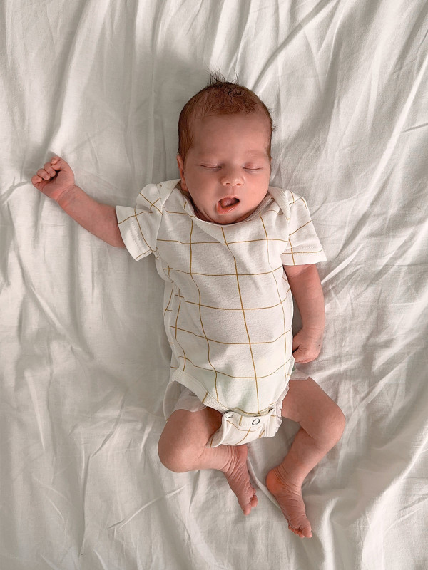 Боди Клетка