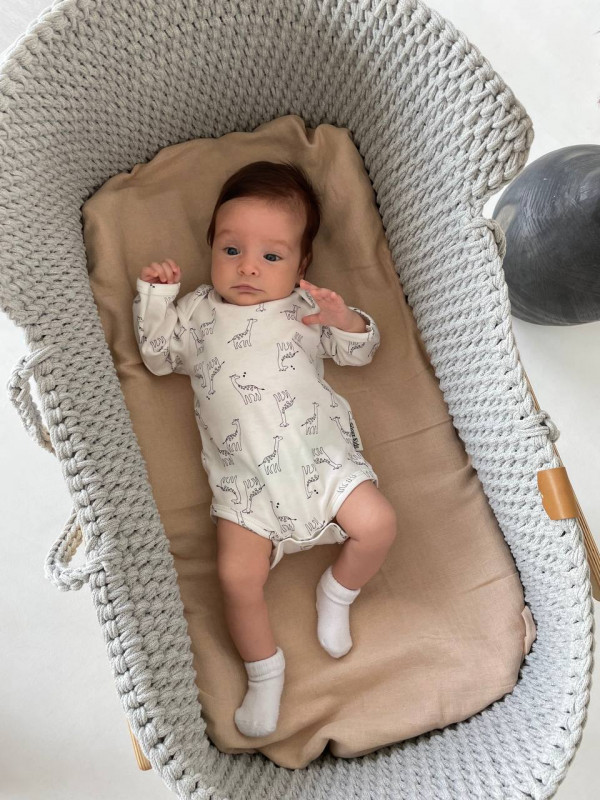 Комплект боди 3 шт с длинным рукавом зелёные/белые жирафы/пепел