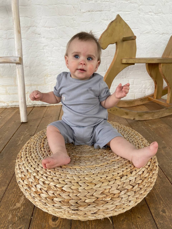 Песочник Серый