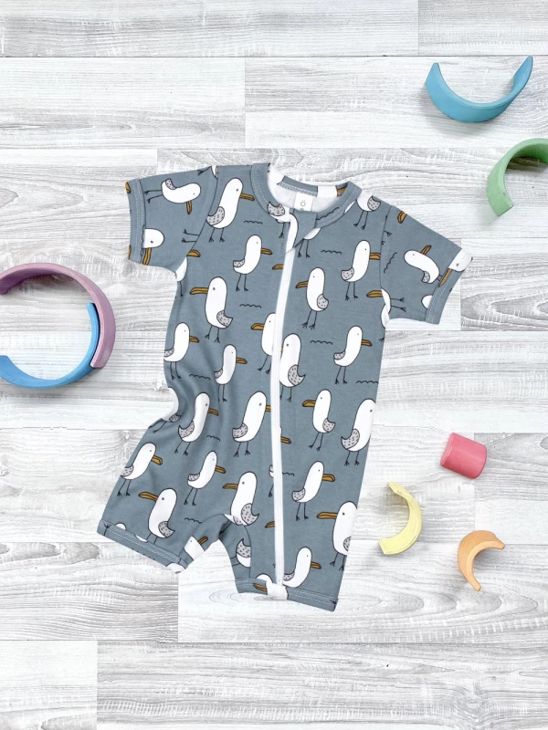 Песочник  Чайки