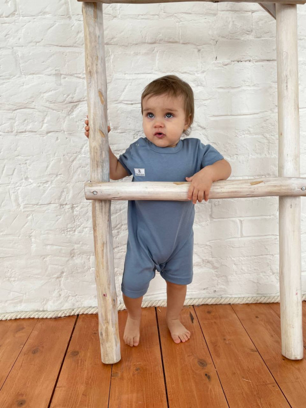 Песочник Серо-голубой 